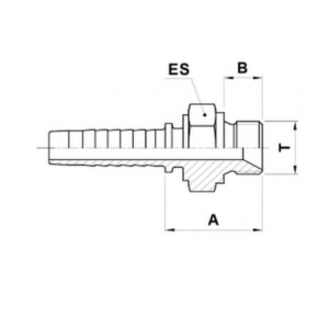 Hydraulic Fitting Male  BSP 1/2  Inch - 1/2 Inch HOSE