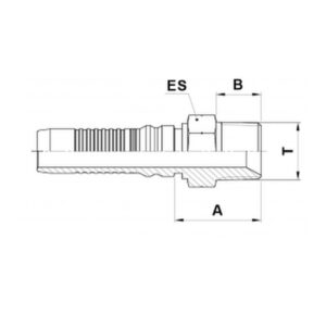 Hydraulic fitting MALE STRAIGHT NPT 1 Inch - 1 HOSE