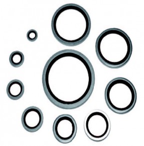 Dowty Washer