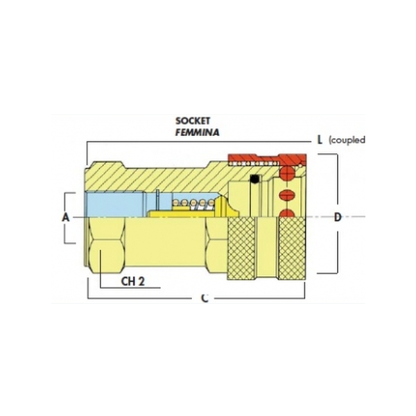 NF1012 NF10-12 QUICK COUPLER PIN FEM 3/4 BSP - Image 2